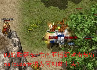 DJս���㲼-�������Ի�Խ�Ϲ�VinaHouseר��Ϊ�������ͷ��
